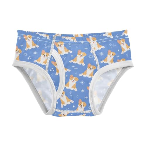 Cotton Little Boys Briefs Soft Corgi Dog Toddler Underwear