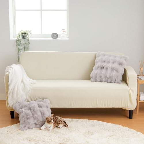 x[i(BELLUNA) |ɂ\t@Jo[ Lk 100 Ht I[V[Y  RۖhL LYh~ L΍ Xgb` ̂т̂ Lk ӂ 炳 Lт 􂦂 n tȒP _炩 @\ k 