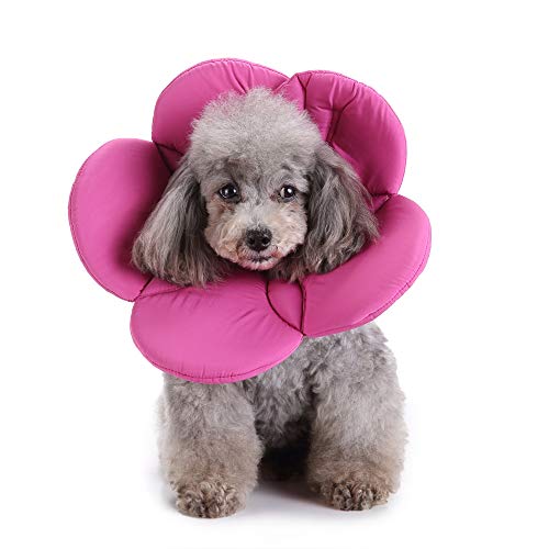 Image of Dog Collar, Pet Cone E-Collar Flower Soft Elizabethan Waterproof Grooming Recovery Protecive Adjustable Collar for Puppy Small Medium Dogs (L Neck:13-15in, Purple)