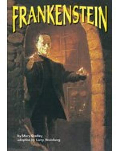 inZone Book: Frankenstein (Reader's Workshop)