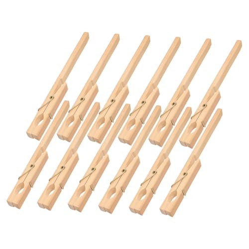 BUGUUYO 12個木製試験管固定 実験用試験管クプ 耐熱対応 安全保持ラボ用器