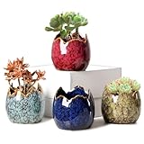 YYW Succulent Pots, 4 Pack Ceramic Planters for Indoor Plants in, Dragon Egg Broken Shell Design Flower Pots with Drainage Hole, Stylish Plant Pots,Home Office Decor (Four Piece)
