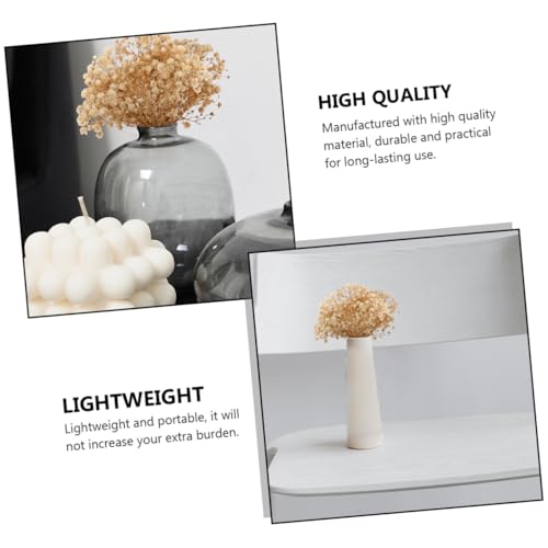 5 ramos secos de flor Gypsophila para decoración miniatura 5
