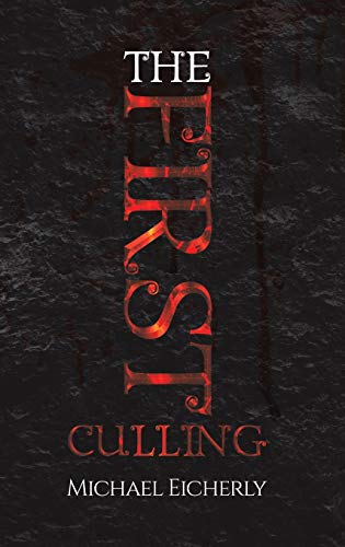 First Culling view 2
