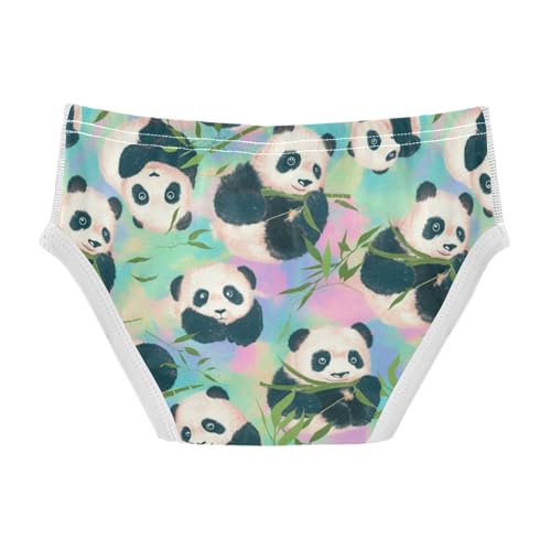 Wusikd Pandas Boys' Underwear Cotton Boys Briefs Soft Toddler Underwear 2T2