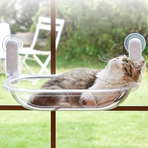 lRp | FD^ nbN zՎ  tȒP lGp 􂦂 p  xe ^ XgX {t (A)