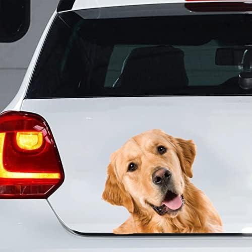 Autocollant de voiture Golden Retriever idéal pour les passionnés de chiens