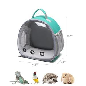   Small-Animal-Carrier-Backpack-Space-Capsule-Bubble-Window-Carrier-Backpack-for-Lizard-Guinea-PigGreen