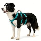 Ausbruchsicheres Hundegeschirr, No-Pull Brustgeschirr mit 3-Punkt-Sicherheitsdesign, Verstellbares Sicherheitsgeschirr mit Griff und Halsverschluss, für Mittlere Hunde (Blau, M)