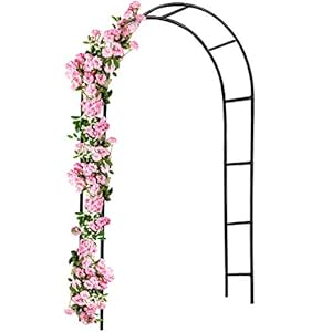 Rozen Boog Klimrek Rek Help Ondersteuning Klimplanten Poort Metaal Zwart Pergola Tuin Decoratie Frame Pad