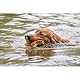 JACK AND VANILLA, Schwimmendes Hundespielzeug, Bissfest, Buntes Rot/Gelb-Design, Ideal für Pool und Strand, Größe 21 cm, Perfekt für kleine und mittelgroße Hunde, Modell Rex
