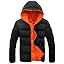 Sweat à Capuche FORSBERG Pettarson - Logo Ours - Coupe Sport - 60% Coton