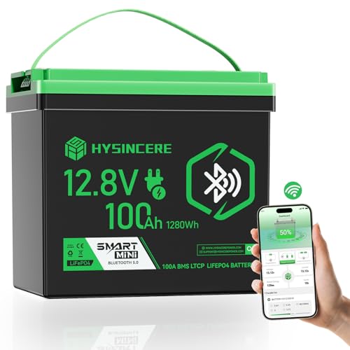 HYSINCERE 12V 100Ah LiFePO4 Batterie mit Bluetooth, integriertem 100A BMS Low Temperature Schutz, IP67 wasserdicht, bis zu 15000 Zyklen, 12V...