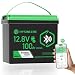 HYSINCERE 12V 100Ah LiFePO4 Batterie mit Bluetooth, integriertem 100A BMS Low Temperature Schutz, IP67 wasserdicht, bis zu 15000 Zyklen, 12V Lithium Deep Cycle Batterie für Wohnmobil, Solar und Marine