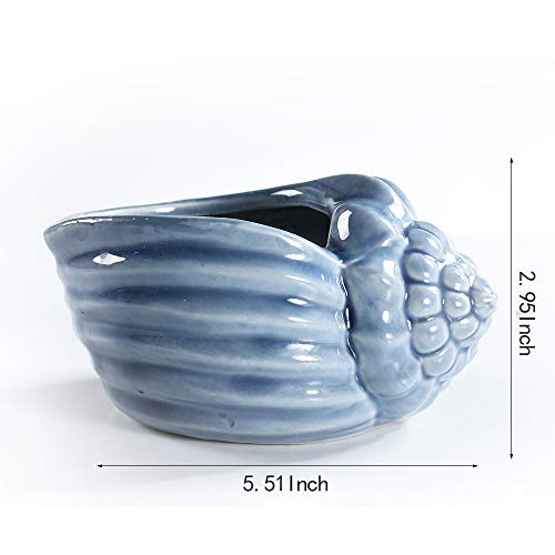 Sun-E 5.5 Inch Blue Conch Ocean Series Ceramic Base Serial Set Succulent Plant Pot Cactus Plant Pot Flower Pot Container Planter With Drainage Hole Gift Idea 4 In Set(Plants Not Included) #TOP4