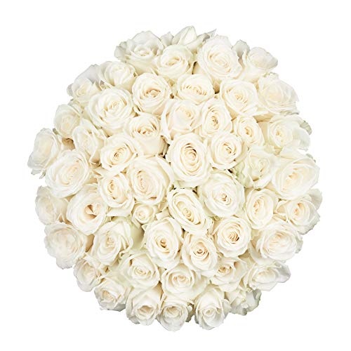 Flower Explosion White Roses - Farm Direct Delivery - 50 Fresh Cut Stems