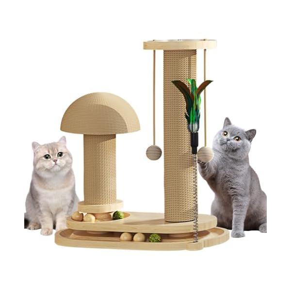 Anyingkai Interaktives Katzenspielzeug Aus Holz,4 in 1 Interaktives Katzenspielzeug,Hölzernes Katzenspielzeug,Holzkugel-Katzenkarussell,Intelligenzspielzeug für Katzen Holz,Wooden Cat Toy(1, A)