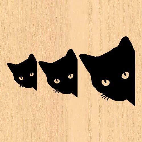 JbeBOXebJ[ EH[XebJ[ L V[ L LV[ lR ˂  ybg V[ ԗp J[XebJ[ X}z