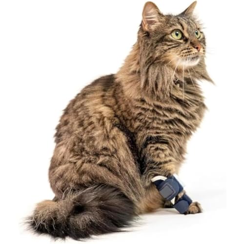 Adjustable Cat Leg Brace with Removable Aluminum Splint – Vet-Recommended Support for Carpal & Tarsal Hyperextension, Sprains, Fractures – Soft Breathable Wrap for Front or Hind Legs (Black,M)