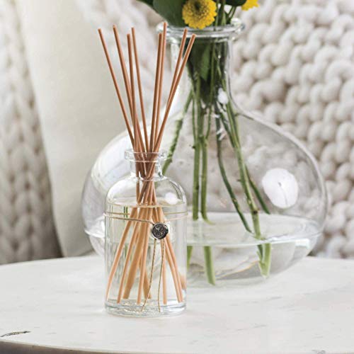 Votivo Red Currant Reed Diffuser, 1 EA