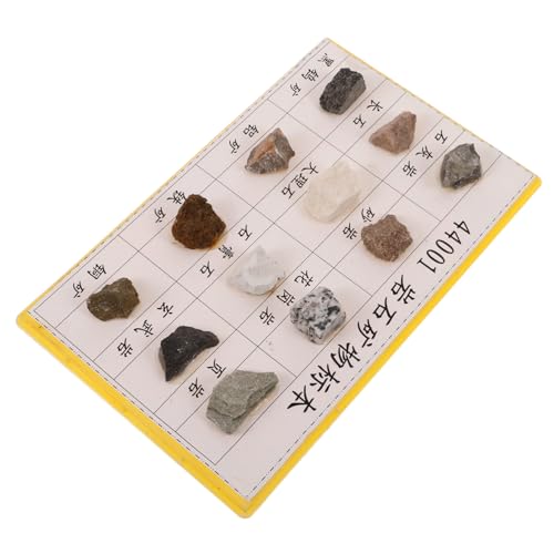 JEWEDECO 12 Pcs Mineral Rock Mineral Rock Specimen for Collection Plastic Rock Collection Rock Specimen for Geology Classroom Mineral Rocks