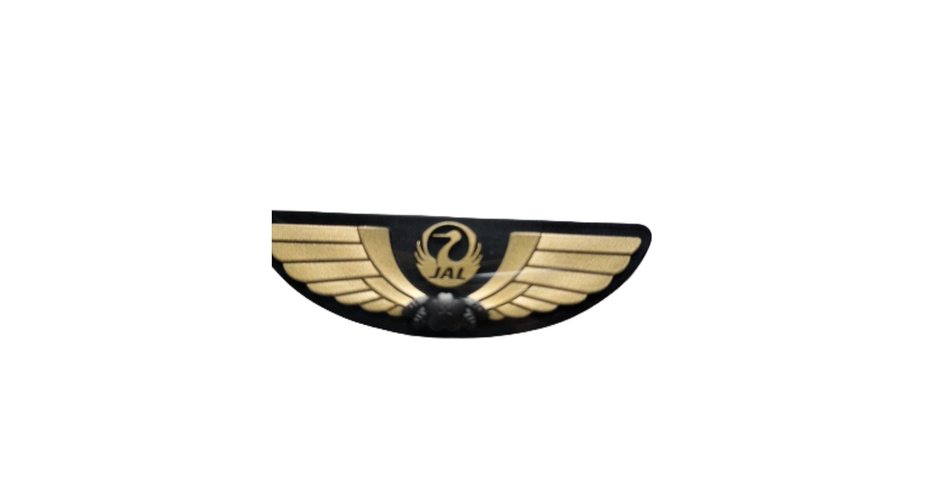 41IzunIhs-L.jpg_BO30,255,255,