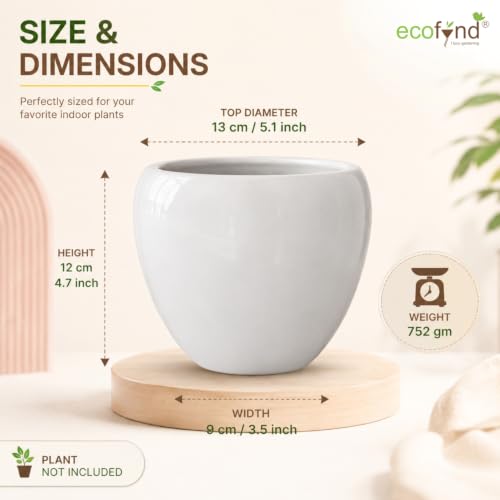 Image of ecofynd 5.1 Inch Ceramic Plant Pots with Drainage Hole, Modern Decorative Clay Flower Pots for Indoor Plants, Decorative Tabletop Planters for Home, Office, Living Room, Bedroom & Shelf (CPOT047-WHT)