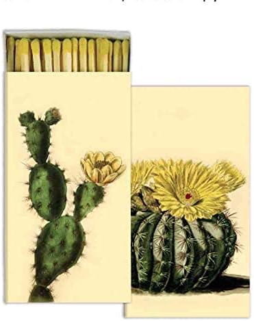 HomArtCaja de cerillas Juego de 2Cactus