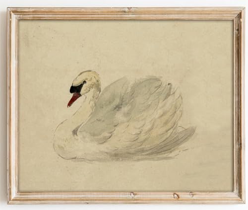 Kizbok Vintage Wall Art Decor Classical Swan Canvas Prints Farmhouse Wall Decor Rustic Watercolor Swan Vintage Art Pictures for Bedroom Bathroom Office Decor(8' x 10'-UNFRAMED)