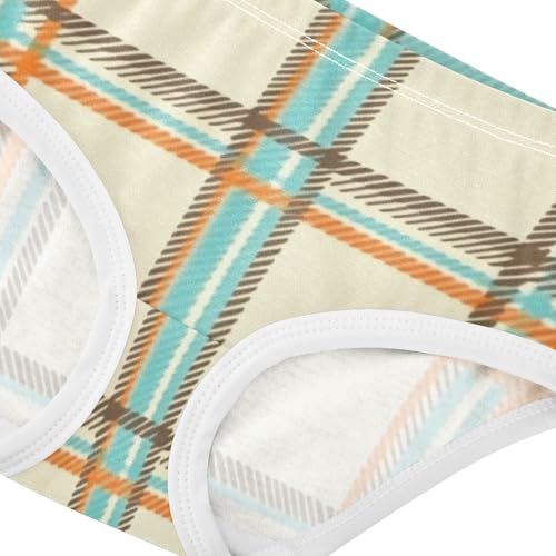 Girls' Cotton Briefs Organic Cotton Toddler Underwear for Kids Colorful Striped4