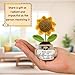 Tiny Detalles Mini Positive Crochet Sunflower, Cute Cheer Up Gifts for Women, Crochet Plant with Optimistic Card for Nurse Teacher Boss, Thank You Gifts for Friends, Coworker and Sunflower Decor