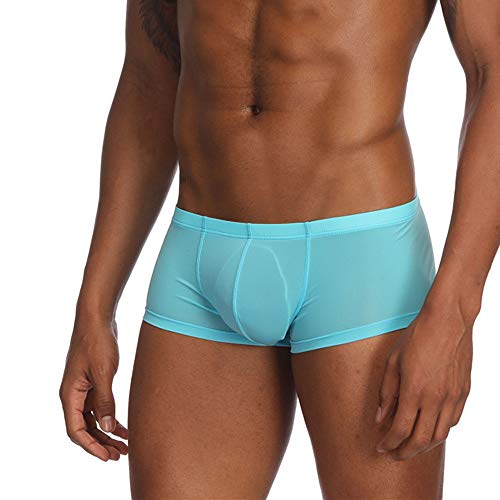 Ozmmyan Mens Ice Silk Boxer Briefs Sexy See Through Seamless