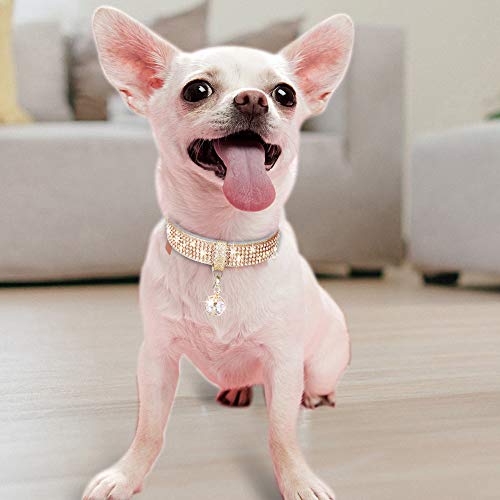 Image of Cat Collar, Dog Collar, [Bling Rhinestones] Premium PU Leather with Pendant Adjustable Collars for Small to Medium Dog Medium Gold