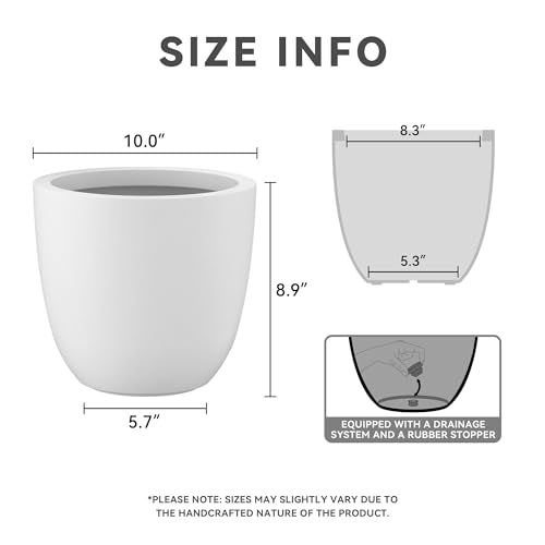 Image of Kante Small Round Bowl White Concrete Planter 10 inch Dia, Outdoor