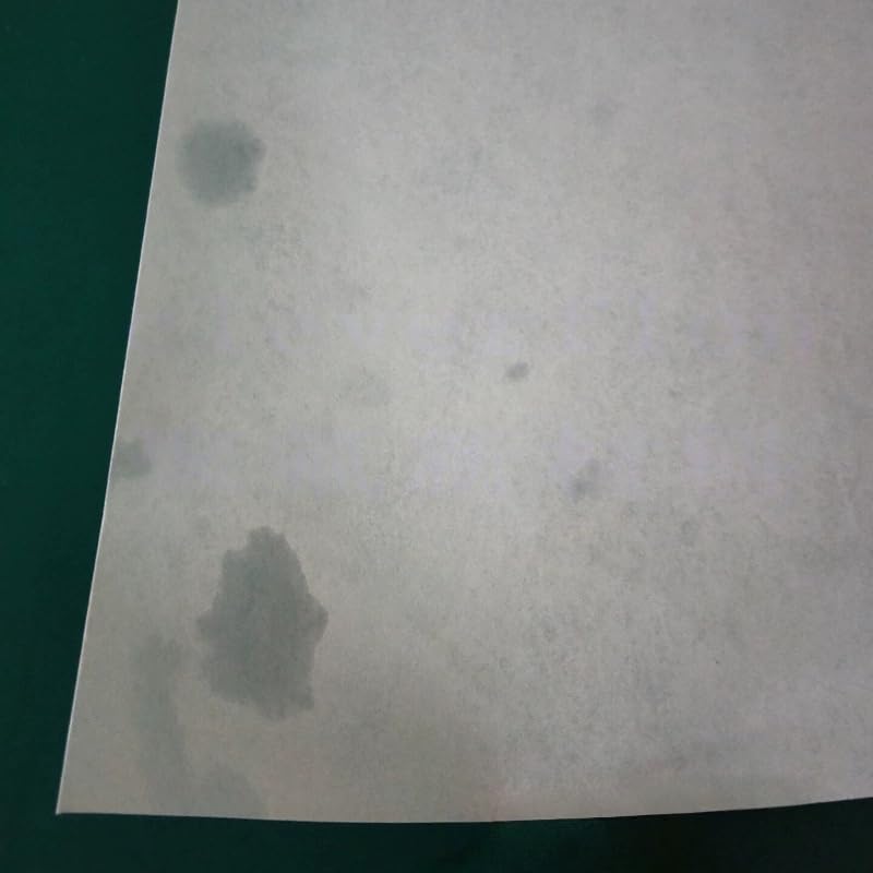 ePTFE-PET Composite Membrane microporous Membrane Filtration, Pack of 2 (Hydrophobic Membrane, 10.0μm Pore Size)