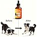 VEYRIC Dog Longevity Supplement with NMN, NAD+, CoQ10 & Resveratrol – Supports Joint Health, Vitality & Healthy Aging – 60-Day Nanoliposomal Drops for Better Absorption