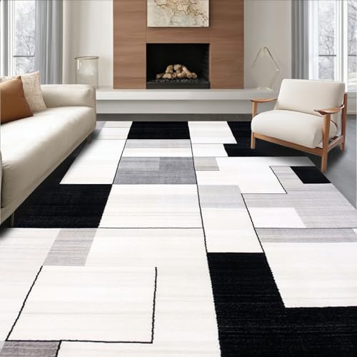 ODIKA Flatwoven High Traffic Area Rug 4x6, Machine Minimalist Black