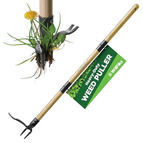 WilFiks Weed Puller Tool, Stand Up Heavy Duty Weed Remover Tool, Foot Platform Design - Wooden 41 Inches Long Handle - 4 Claw Steel Head Weeder Tool, Garden Hand Weeding Tool Smoothly Remove Weeds