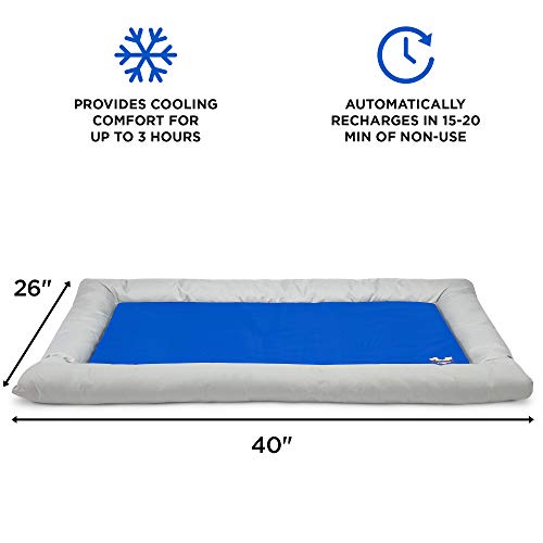 Arf Pets Dog Self Cooling Bed Pet Bed – Solid Gel Based Self Cooling Mat For Pets, Includes A Foam Based Bolster Bed For Extra Comfort #TOP2