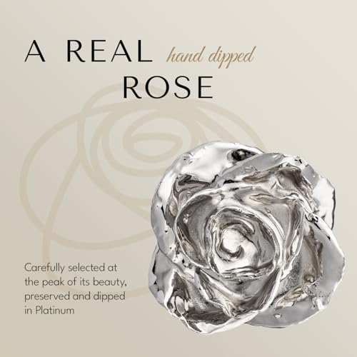 Image of Forever Rose Real Rose Dipped in Platinum, Bloom Box and Phantom Vase