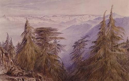 Tableau Singes sur un rocher pour transformer un mur vide en paysage historique