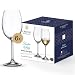 Crystal Bohemia Weingläser - 6er Set, je 450 ml, spülmaschinenfest, langlebig & kratzfest - Elegante Gläser aus Kristallglas - Ideal als Geschenk für Weinliebhaber