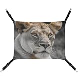 Canvas Lioness with Blue Green Eyes Printed Pet Hammock, Pet Bed Hanging Cat and Dog Bed, Four-Season Breathable Pet Supplies​