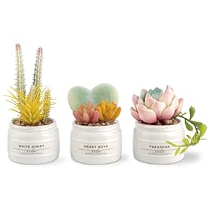 キシマ(Kishima) エクリア 消臭アーティフィシャルグリーン グリーン サイズ:約W18.5 D7 H13 KH-61188" 