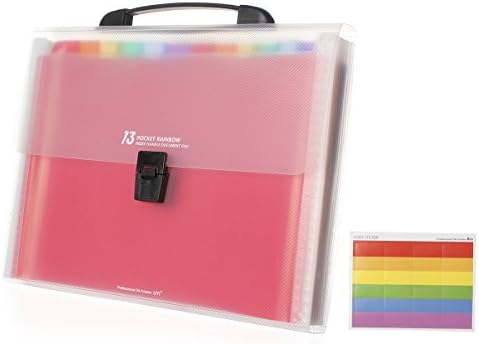 Portable Expanding File Folder Accordion Folder with Handle - Accordian File Organizer Plastic A4 File Organizer Bag and Labels Business Office Student Document Organizer Folder (A4 Size)