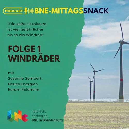 『Windräder vs. Hauskatzen - Wer ist gefährlicher?』のカバーアート