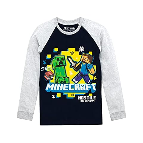 Multicoloured Minecraft Long Sleeved Top for Boys Cover