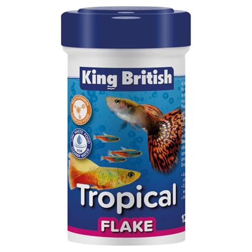 Comida Peces Agua Caliente 250 Marca King British
