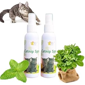 Katzenminze Spray als Spielspray f&uuml;r Katzen,Catnip Spray,Herbal Cat Joy,Katzenminze-Spray f&uuml;r Katzen,Kr&auml;uter-Katzenfreude-Spray,Katzentrainingsspray mit Katzenminze,Katzenkratzspray,100 ml