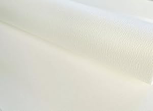 Syntego Ivory Textured Paper – A4 | 110gsm | Pack of 100 Sheets | Printer Friendly for Card Making, Scrapbooking, Resturant Menus, Certificates